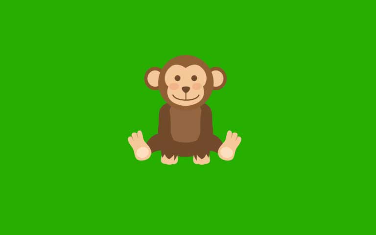 Jungle Theme Puppet Birthday Parties