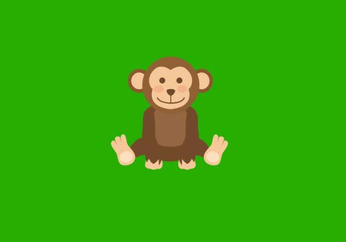 Cute monkey with big ears